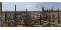 009-005 Seville