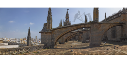 009-002 Seville