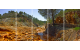 010-004 Rio tinto 