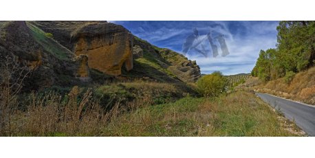 018-057 landscape 