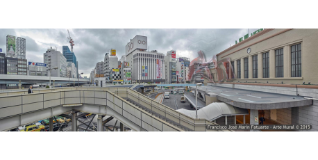 029-024 Tokyo