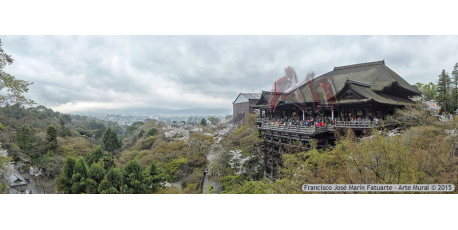 029-014 Kyoto
