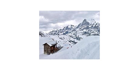 Alpes Suizos
