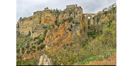 El Arboreto del Carambolo