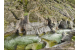 Jerte Valley and Barruecos