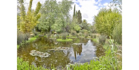 El Arboreto